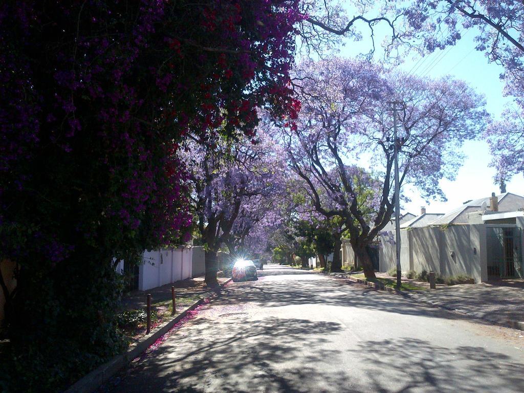 Thulani Lodge Johannesburg Exterior photo